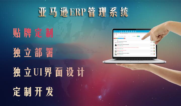 深圳亞馬遜ERP軟件開發全攻略 貼牌定制、獨立部署與私有化服務解析
